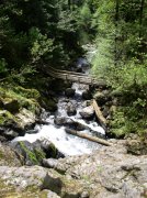 4.30.06 Hamilton Mountain 018 